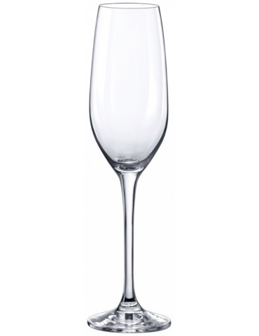 copa cava cero pack 12 uds